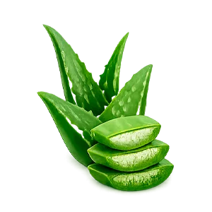 Venactiv — aloe vera